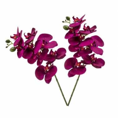 2 stuks nep planten violet paarse phaleanopsis vlinderorchidee kunstb