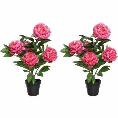 2x groene/roze pioenroos rozenstruik kunstplanten 57 cm met zwarte pot