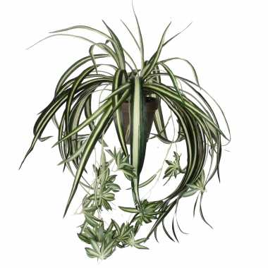 Chlorophytum graslelie hangplant groen h45 x d45 cm kunstplant in pot