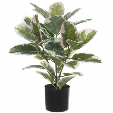Groen/creme rubberboom ficus elastica kunstplant in zwarte kunststof pot 50 cm