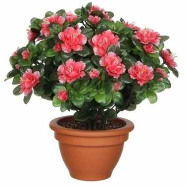 Groene azalea kunstplant met perzikkleurige bloemen 35 cm in terracotta pot