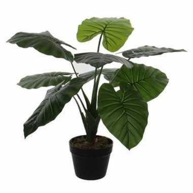 Groene kunstplant colocasia taro succulent plant in pot