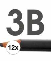 12x 3b potloden voor professioneel gebruik