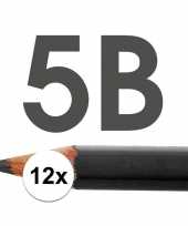 12x 5b potloden voor professioneel gebruik