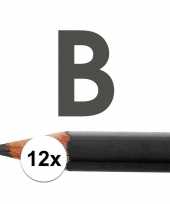 12x b potloden voor professioneel gebruik