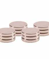 12x ronde koelkast kantoor magneten 1 cm zilver