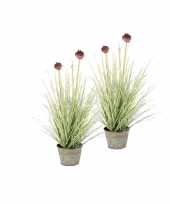 2 stuks nep planten groene allium sierui grasplant kunstplanten 53 cm met grijze pot 10139642