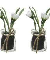 2x crocus krokus kunstplanten wit geel 15 cm met glazen pot