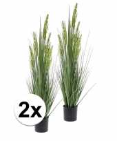 2x grain grass kunstplanten 90 cm
