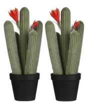 2x nep planten groene cereus zuilcactus kunstplanten 39 cm met zwarte pot
