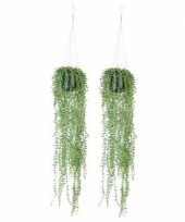 2x nep planten groene senecio erwtenplant kunstplanten 70 cm met hangpot