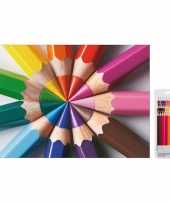 36x stuks kleurpotloden met potloden thema schetsboek