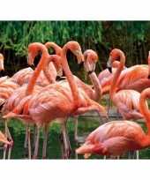 3d magneetje roze flamingo