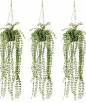 3x groene ficus pumila kunstplanten 60 cm met pot