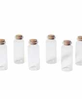 6x kleine decoratieve glazen uitdeelflesjes met kurken dop 18 ml