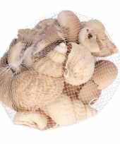 Maritieme decoratie zeeslakken schelpjes 400 gram