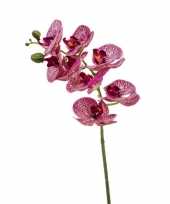 Nep planten fuchsia roze phaleanopsis vlinderorchidee kunstbloemen 70 cm decoratie