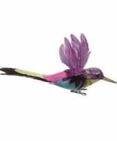 Paarse kolibrie vogel op clip 15 cm
