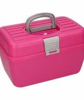 Roze opbergbox 28 cm