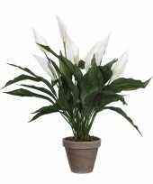 Spathiphyllum lepelplant kunstplant wit in keramieken pot h50 x d40 cm