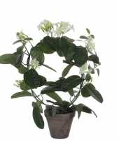 Stephanotis bruidsbloem kunstplant kamerplant wit in grijze sierpot h50 cm x d40 cm