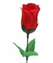 Super voordelige rode roos 28 cm valentijnsdag