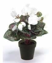 Witte kunstplant cyclaam plant in pot