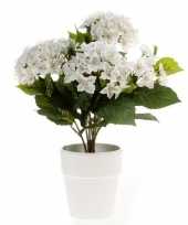 Witte kunstplant hortensia plant in pot