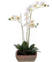 Witte orchidee kunstplant in terracotta pot 50 cm